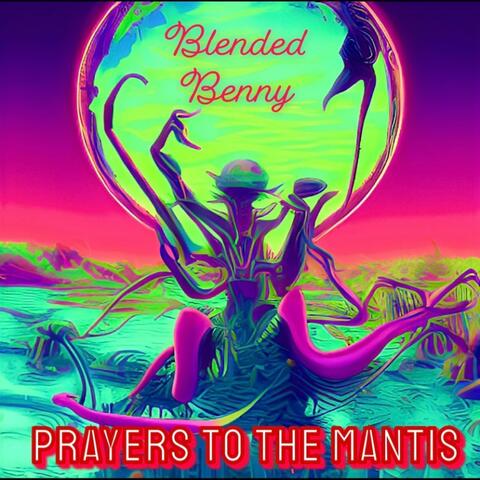 Prayers To The Mantis