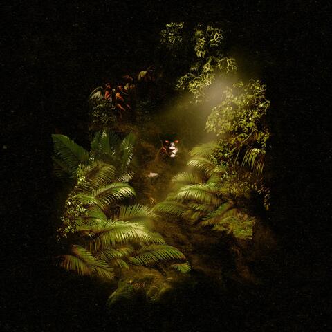 JUNGLE