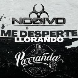 Me desperte llorando (feat. De Parranda)