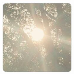 It Changes Everything