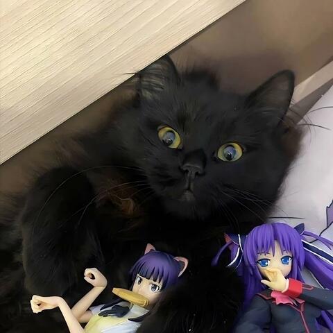 GIVE ME THE FUCKING KNIFE