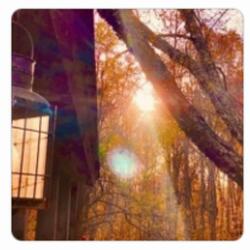 The Story Never Ends