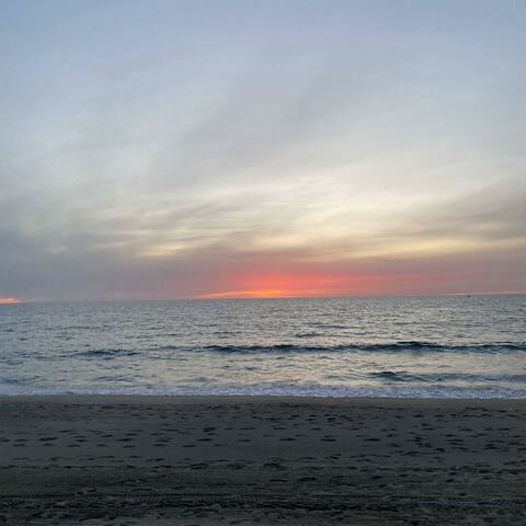 Paradise
