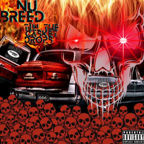 Till The Casket Drops