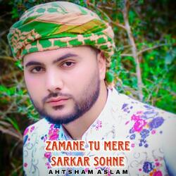 Zamane Tu Mere Sarkar Sohne