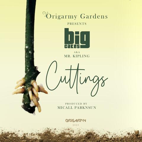 Cuttings