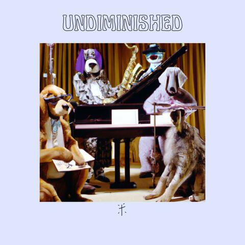 UNDIMINISHED