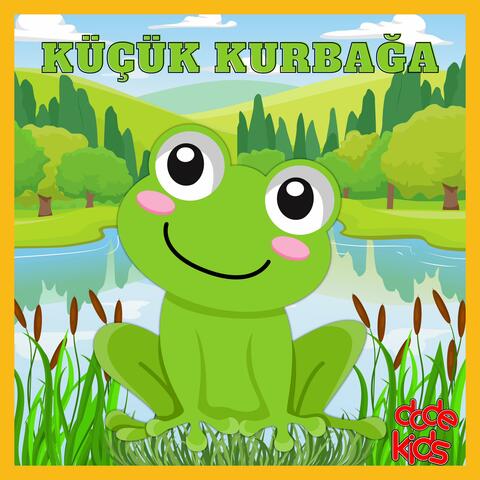 Küçük Kurbağa