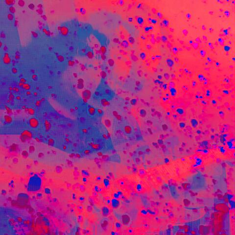 Lucid
