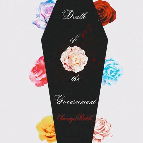 Death of the Goverment