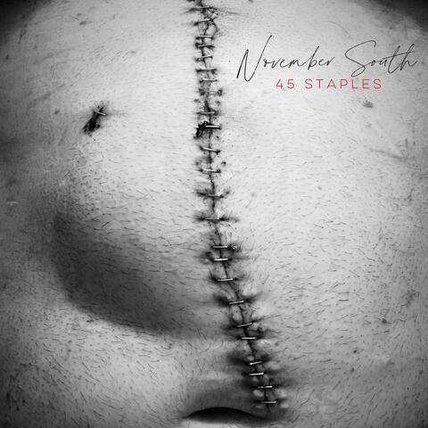 45 Staples