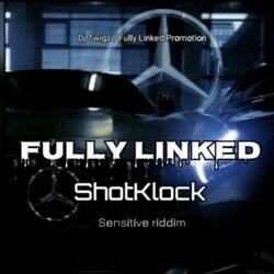 Fullylinked