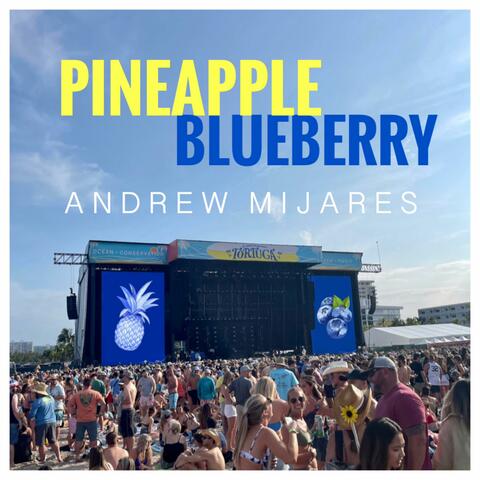 Pineapple Blueberry