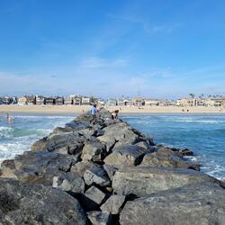 Peanut Butter Falcon