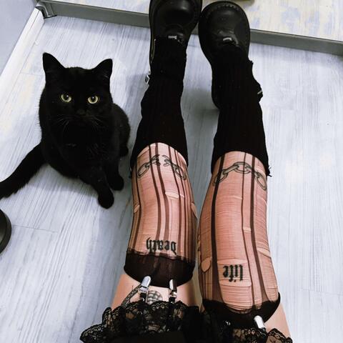 Black Cats