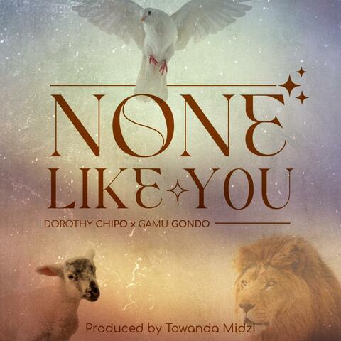 None Like You (feat. Gamu Gondo)