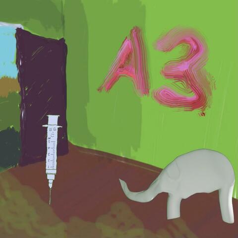 A3