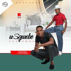 Ngiyamthanda (feat. Jaiva Zimnike)