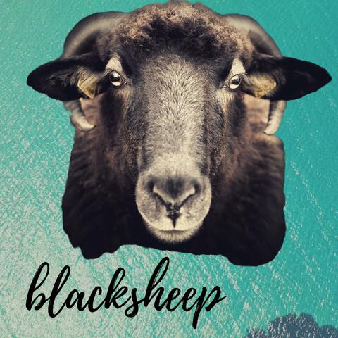 Black Sheep