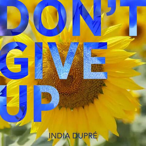 Don't Give Up