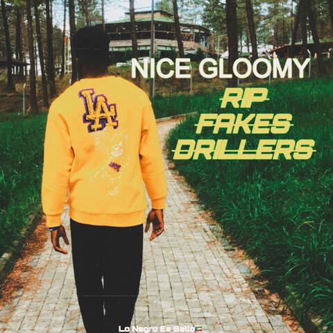 Rip Fakes Drillers