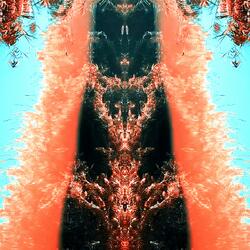 Abstract Perception (10m)