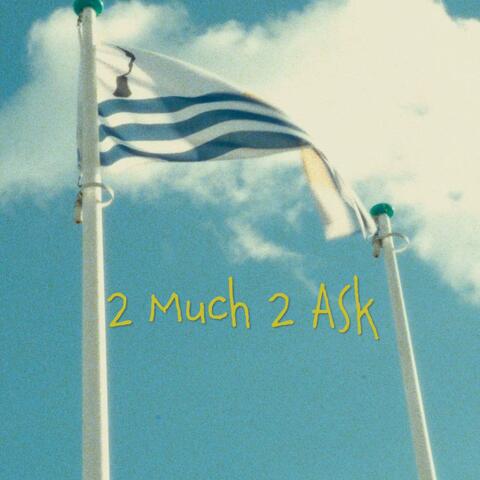 2 much 2 ask