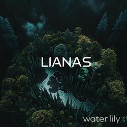 Water Lily (Meditation)