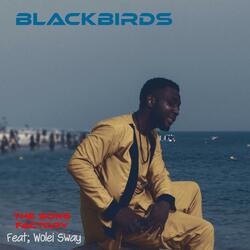 Blackbirds (feat. Wolei Sway)