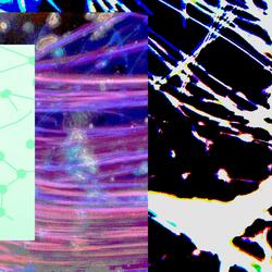 all i want (freestyle)