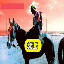 Sele