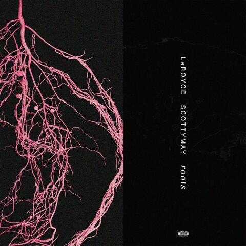 Roots (feat. ScottyMay)