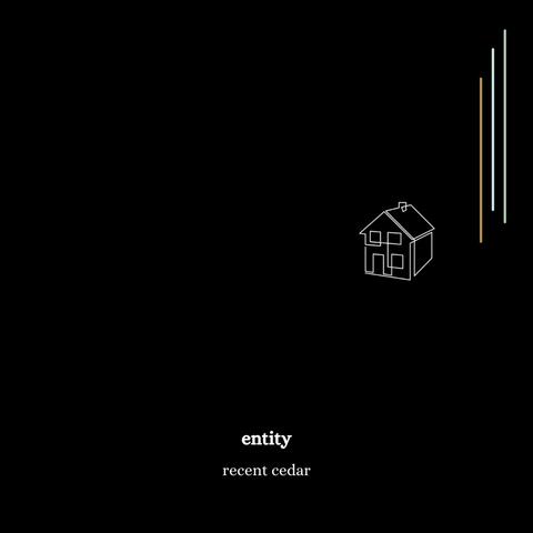 entity