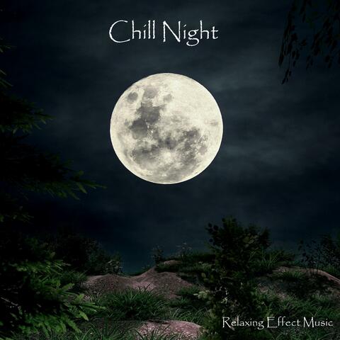 Chill Night