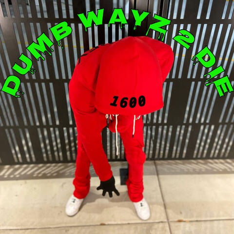 DumbWayz2Die