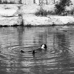 heartbreakismyreward