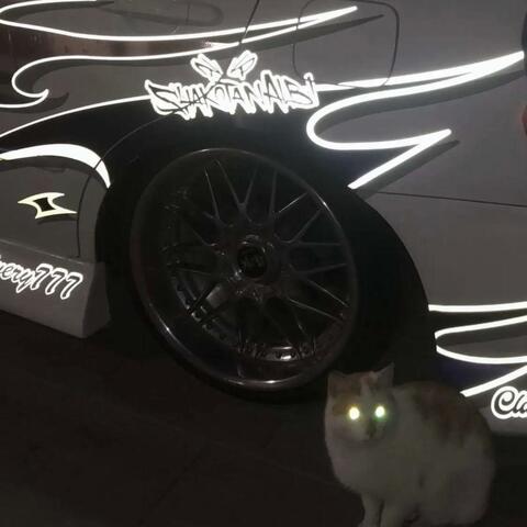 fucked up in the club