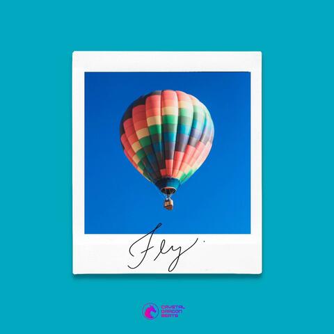 Fly.