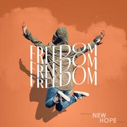 Freedom (feat. Lindi Delport)