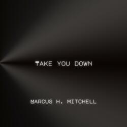 TAKE YOU DOWN (PRIVATE COVERS)