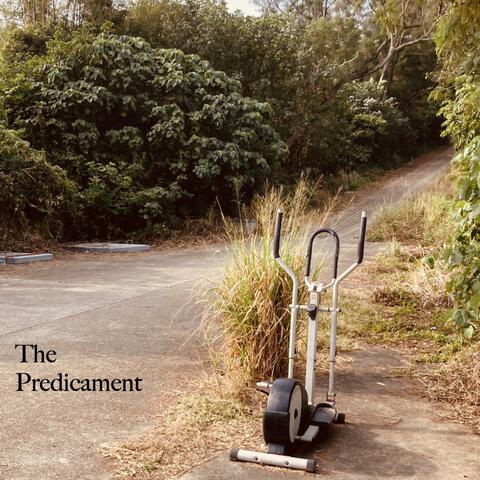 The Predicament