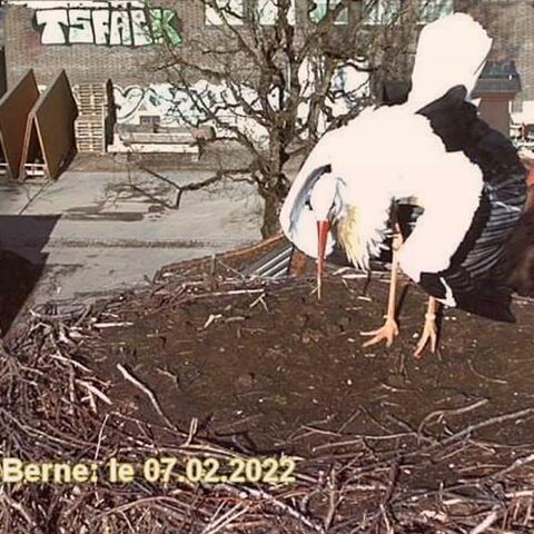 Berne: le 07.02.2022