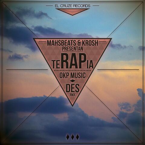 Terapia DES RMX