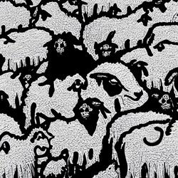 Black Sheep