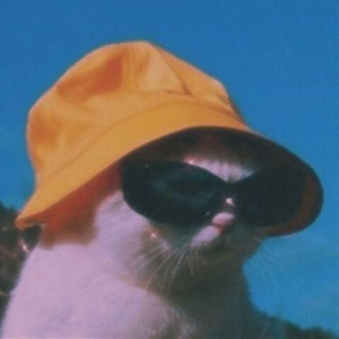 Coolest Cat On Thee Block