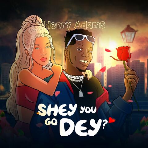 Shey You Go Dey