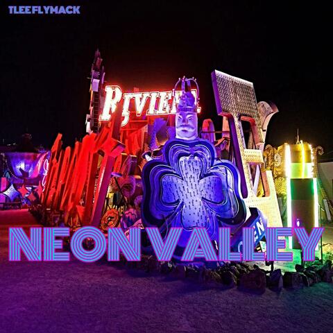 Neon Valley
