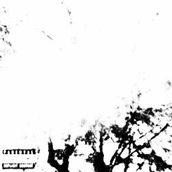 Let's Go! (feat. Edwrd)