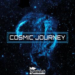 Cosmic Journey