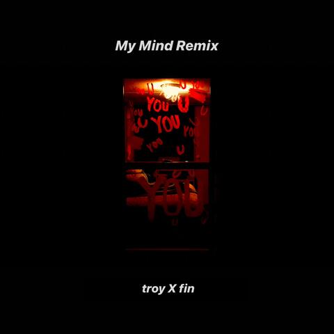 My Mind (feat. Fin) [Remix]